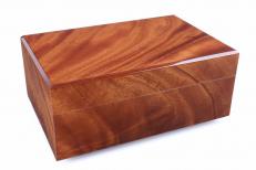 �������� Gentili Piuma �� 40 ����� H03-Piuma